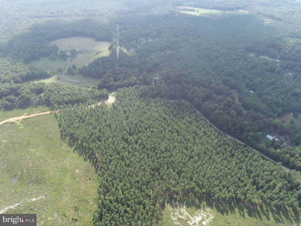 HOLLAND ROAD (TRACT: JR BEDFORD-BOWLES_SIMS-4), COLUMBIA, Virginia 23038, ,Farm,For sale,HOLLAND ROAD (TRACT: JR BEDFORD-BOWLES_SIMS-4),VAFN2000522 MLS # VAFN2000522