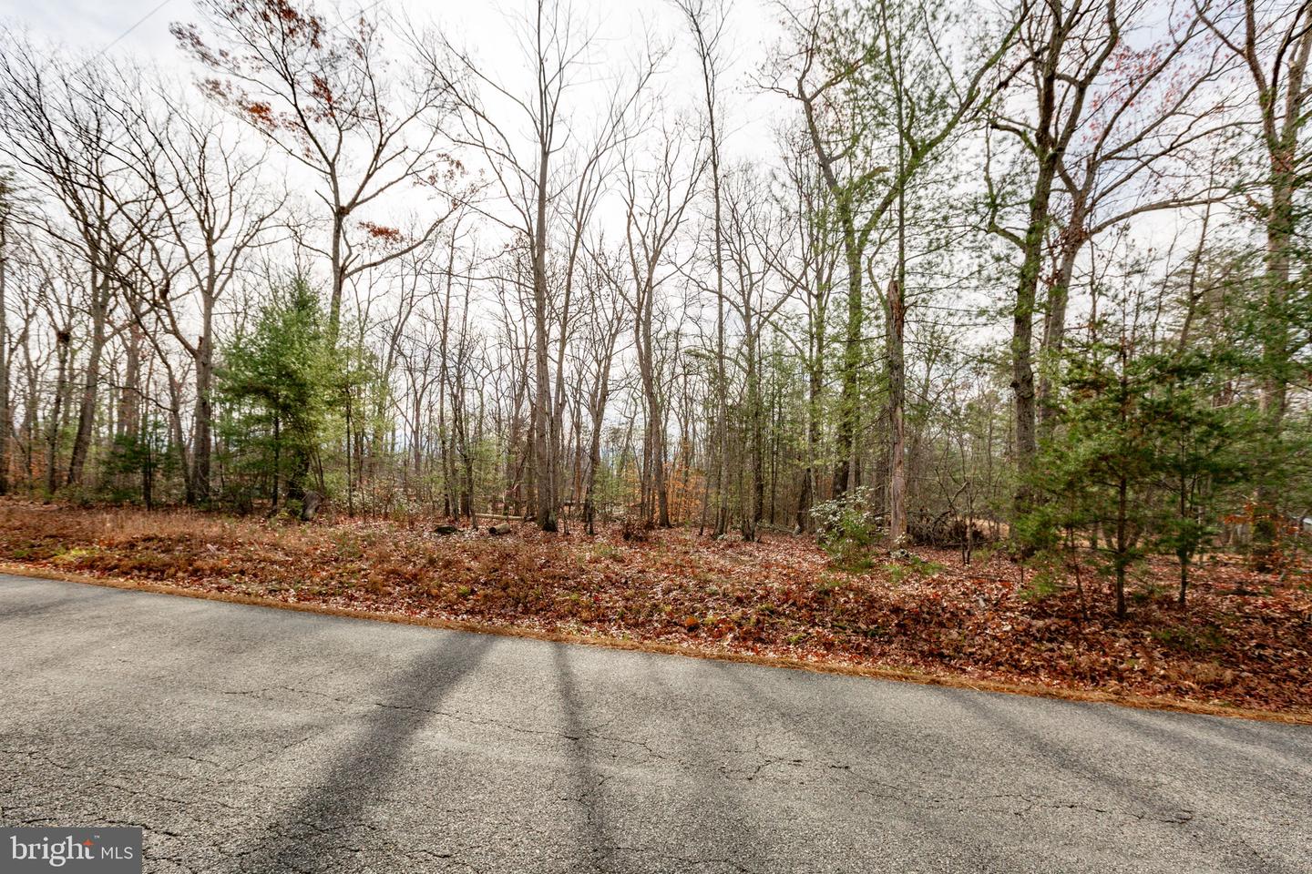 13600 BLACK MEADOW RD, SPOTSYLVANIA, Virginia 22553, ,Land,For sale,13600 BLACK MEADOW RD,VASP2037984 MLS # VASP2037984 13600 BLACK MEADOW RD, SPOTSYLVANIA, Virginia 22553, ,Land,For sale,13600 BLACK MEADOW RD,VASP2037984 MLS # VASP2037984