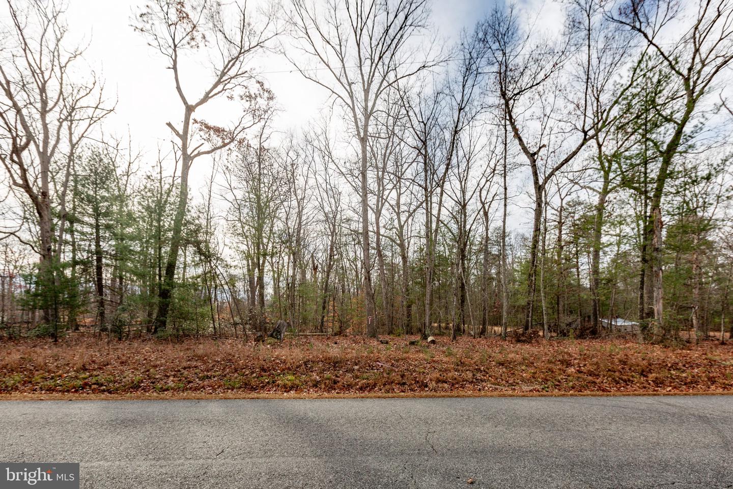 13600 BLACK MEADOW RD, SPOTSYLVANIA, Virginia 22553, ,Land,For sale,13600 BLACK MEADOW RD,VASP2037984 MLS # VASP2037984 13600 BLACK MEADOW RD, SPOTSYLVANIA, Virginia 22553, ,Land,For sale,13600 BLACK MEADOW RD,VASP2037984 MLS # VASP2037984