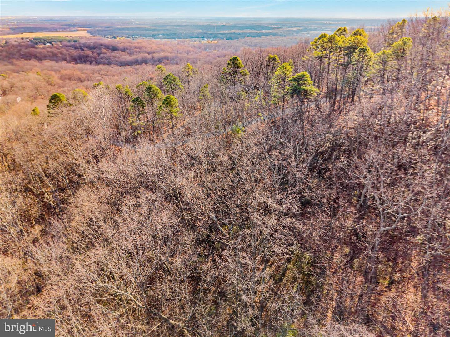 1504 DUFFEY DR, HAYMARKET, Virginia 20169, ,Land,For sale,1504 DUFFEY DR,VAPW2108904 MLS # VAPW2108904 1504 DUFFEY DR, HAYMARKET, Virginia 20169, ,Land,For sale,1504 DUFFEY DR,VAPW2108904 MLS # VAPW2108904