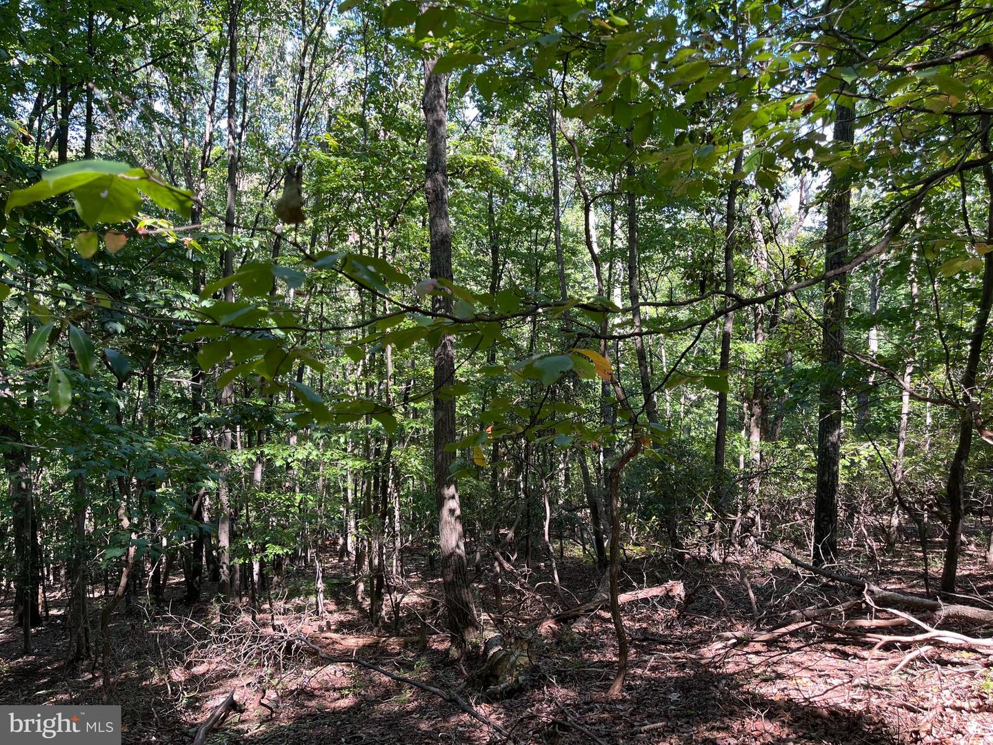 1504 DUFFEY DR, HAYMARKET, Virginia 20169, ,Land,For sale,1504 DUFFEY DR,VAPW2108904 MLS # VAPW2108904 1504 DUFFEY DR, HAYMARKET, Virginia 20169, ,Land,For sale,1504 DUFFEY DR,VAPW2108904 MLS # VAPW2108904