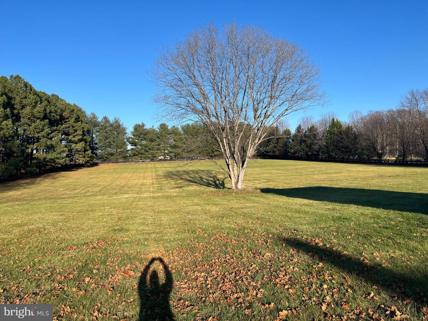 37030 N FORK RD, PURCELLVILLE, Virginia 20132, 4 Bedrooms Bedrooms, ,2 BathroomsBathrooms,Residential,For sale,37030 N FORK RD,VALO2112318 MLS # VALO2112318 37030 N FORK RD, PURCELLVILLE, Virginia 20132, 4 Bedrooms Bedrooms, ,2 BathroomsBathrooms,Residential,For sale,37030 N FORK RD,VALO2112318 MLS # VALO2112318