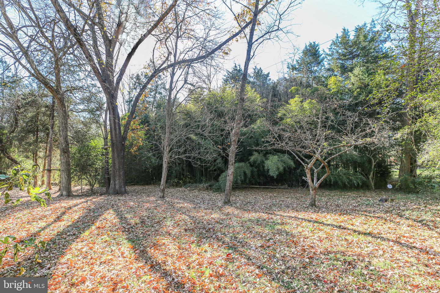 413 LAKEVIEW PKWY, LOCUST GROVE, Virginia 22508, 3 Bedrooms Bedrooms, ,2 BathroomsBathrooms,Residential,For sale,413 LAKEVIEW PKWY,VAOR2012962 MLS # VAOR2012962 413 LAKEVIEW PKWY, LOCUST GROVE, Virginia 22508, 3 Bedrooms Bedrooms, ,2 BathroomsBathrooms,Residential,For sale,413 LAKEVIEW PKWY,VAOR2012962 MLS # VAOR2012962