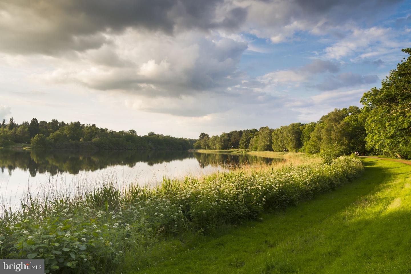 20419 RIVERBEND SQ #301, STERLING, Virginia 20165, 2 Bedrooms Bedrooms, ,2 BathroomsBathrooms,Residential,For sale,20419 RIVERBEND SQ #301,VALO2112526 MLS # VALO2112526 20419 RIVERBEND SQ #301, STERLING, Virginia 20165, 2 Bedrooms Bedrooms, ,2 BathroomsBathrooms,Residential,For sale,20419 RIVERBEND SQ #301,VALO2112526 MLS # VALO2112526