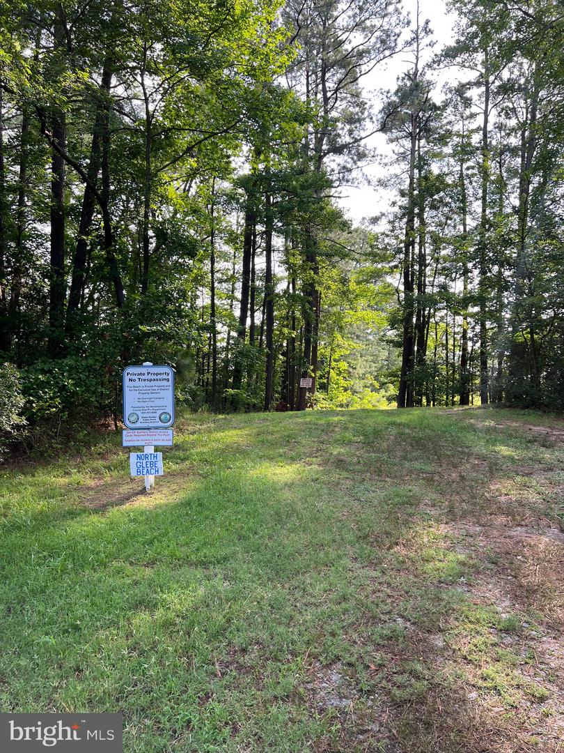 TBD LOT 111 SOUTH GLEBE RD, MONTROSS, Virginia 22520, 3 Bedrooms Bedrooms, ,2 BathroomsBathrooms,Residential,For sale,TBD LOT 111 SOUTH GLEBE RD,VAWE2008036 MLS # VAWE2008036