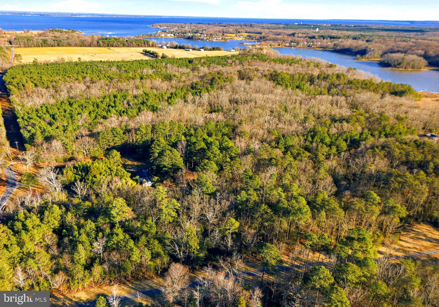 1 SEAGRASS CT, KING GEORGE, Virginia 22485, ,Land,For sale,1 SEAGRASS CT,VAKG2007376 MLS # VAKG2007376