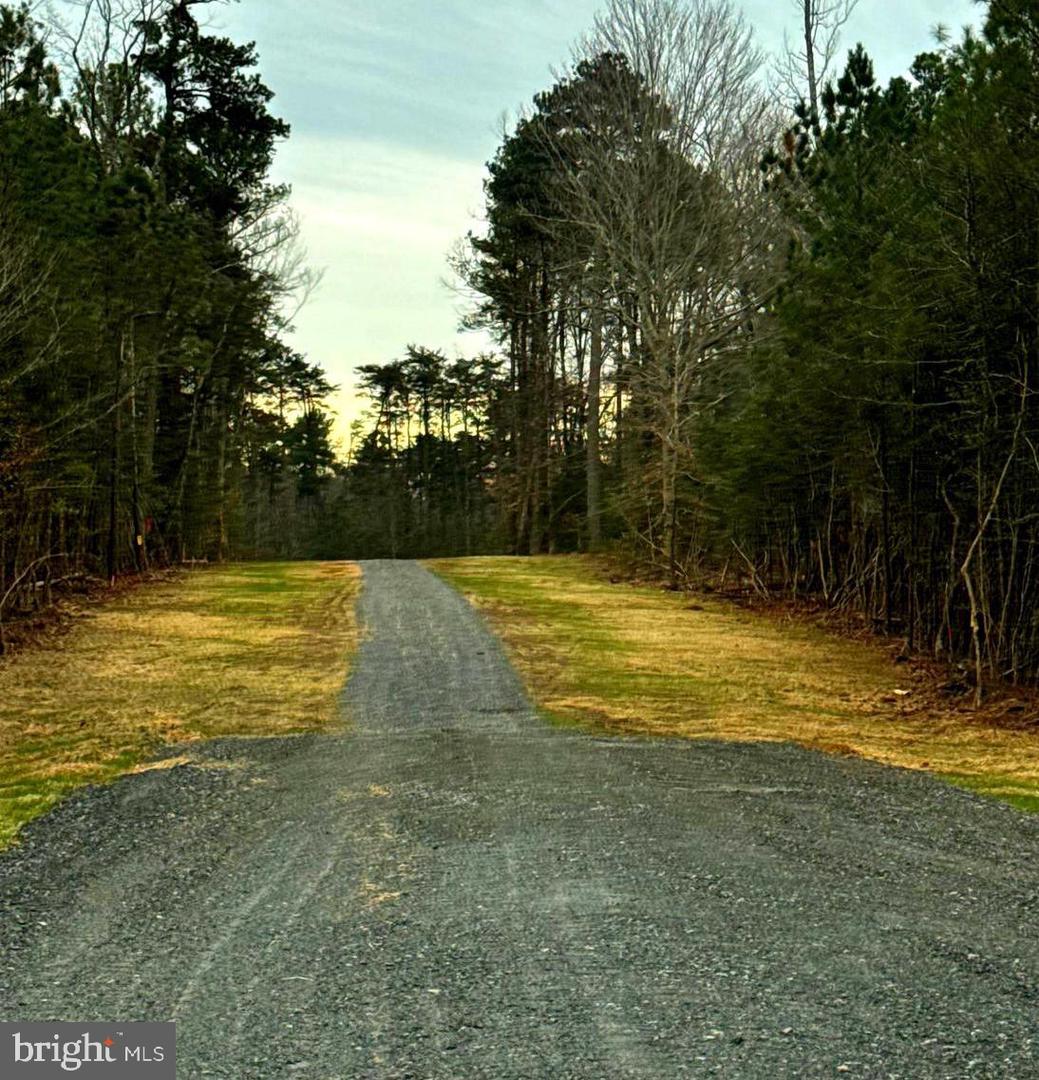 1 SEAGRASS CT, KING GEORGE, Virginia 22485, ,Land,For sale,1 SEAGRASS CT,VAKG2007376 MLS # VAKG2007376