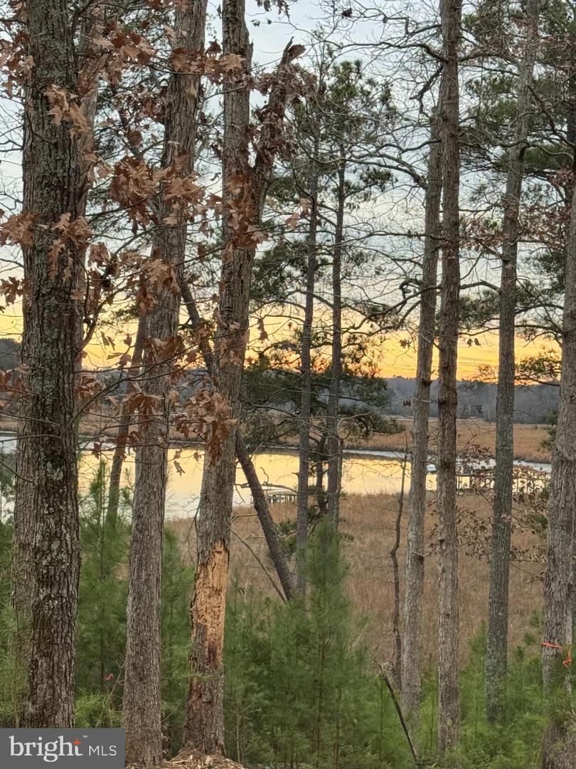 1 SEAGRASS CT, KING GEORGE, Virginia 22485, ,Land,For sale,1 SEAGRASS CT,VAKG2007376 MLS # VAKG2007376