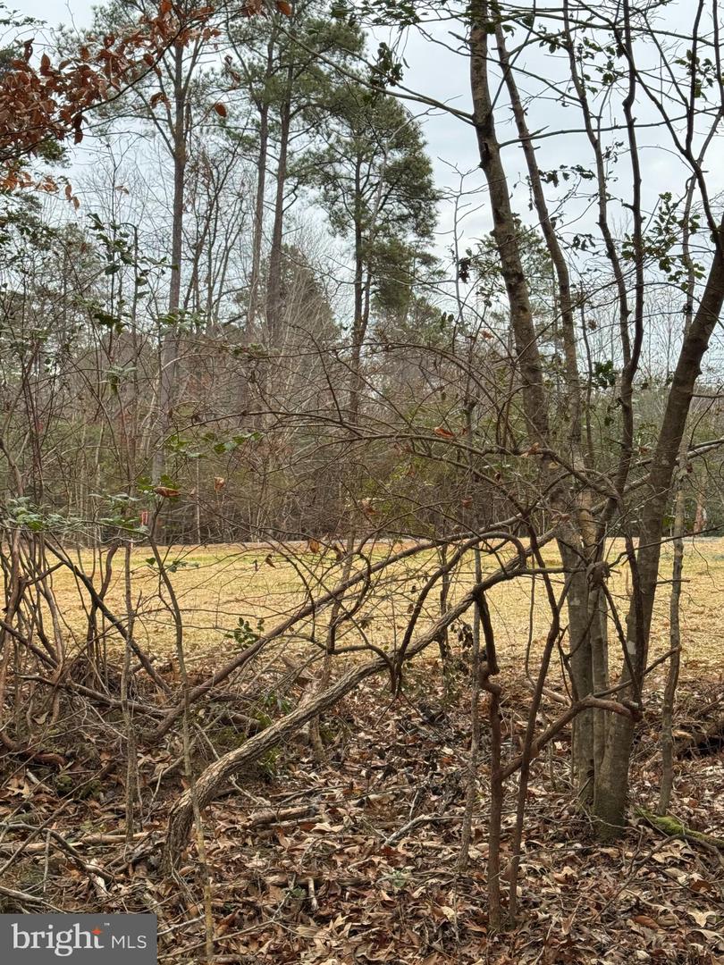 1 SEAGRASS CT, KING GEORGE, Virginia 22485, ,Land,For sale,1 SEAGRASS CT,VAKG2007376 MLS # VAKG2007376