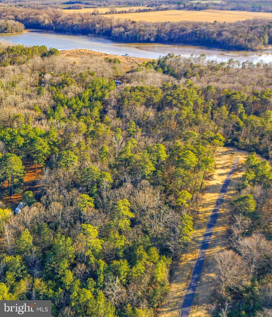 1 SEAGRASS CT, KING GEORGE, Virginia 22485, ,Land,For sale,1 SEAGRASS CT,VAKG2007376 MLS # VAKG2007376