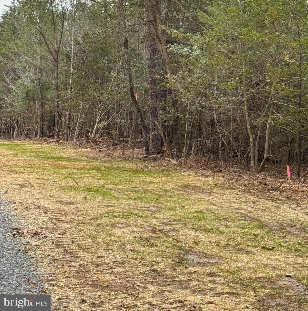 1 SEAGRASS CT, KING GEORGE, Virginia 22485, ,Land,For sale,1 SEAGRASS CT,VAKG2007376 MLS # VAKG2007376