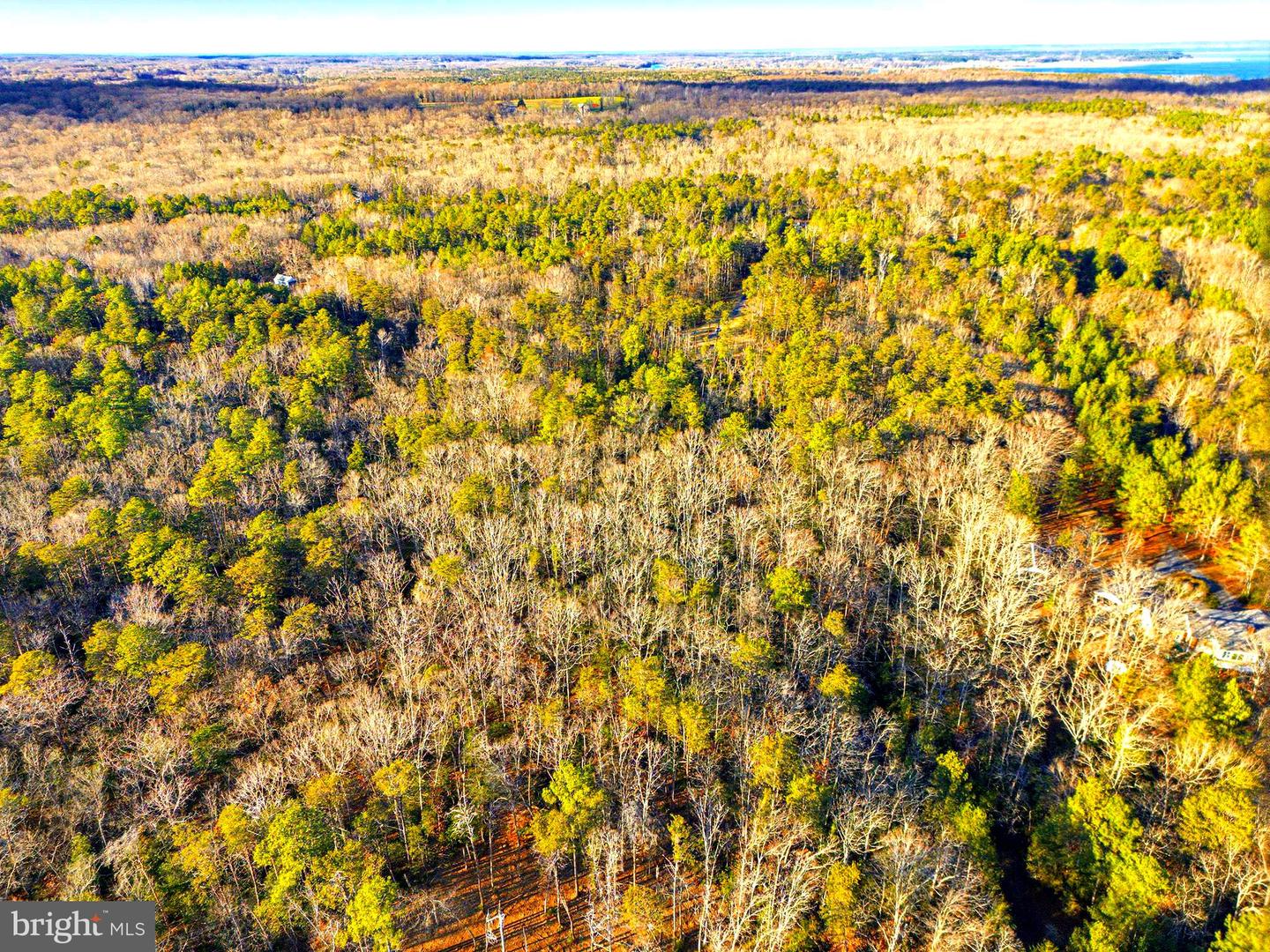 1 SEAGRASS CT, KING GEORGE, Virginia 22485, ,Land,For sale,1 SEAGRASS CT,VAKG2007376 MLS # VAKG2007376