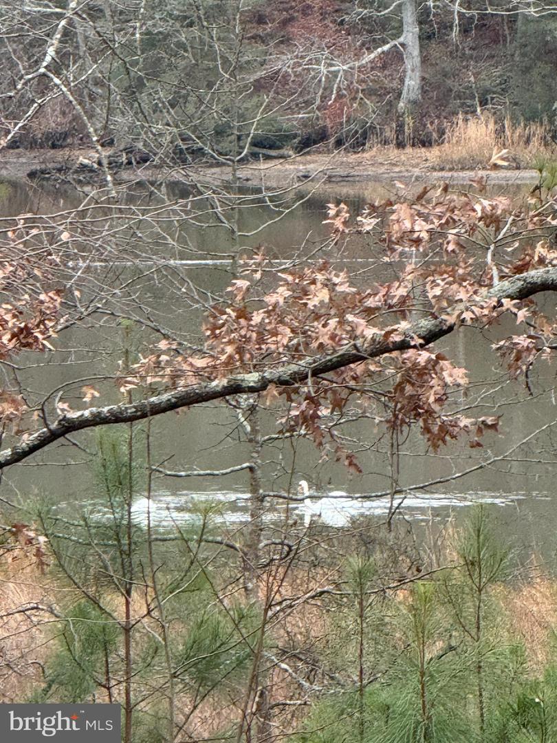 2 SEAGRASS CT, KING GEORGE, Virginia 22485, ,Land,For sale,2 SEAGRASS CT,VAKG2007378 MLS # VAKG2007378