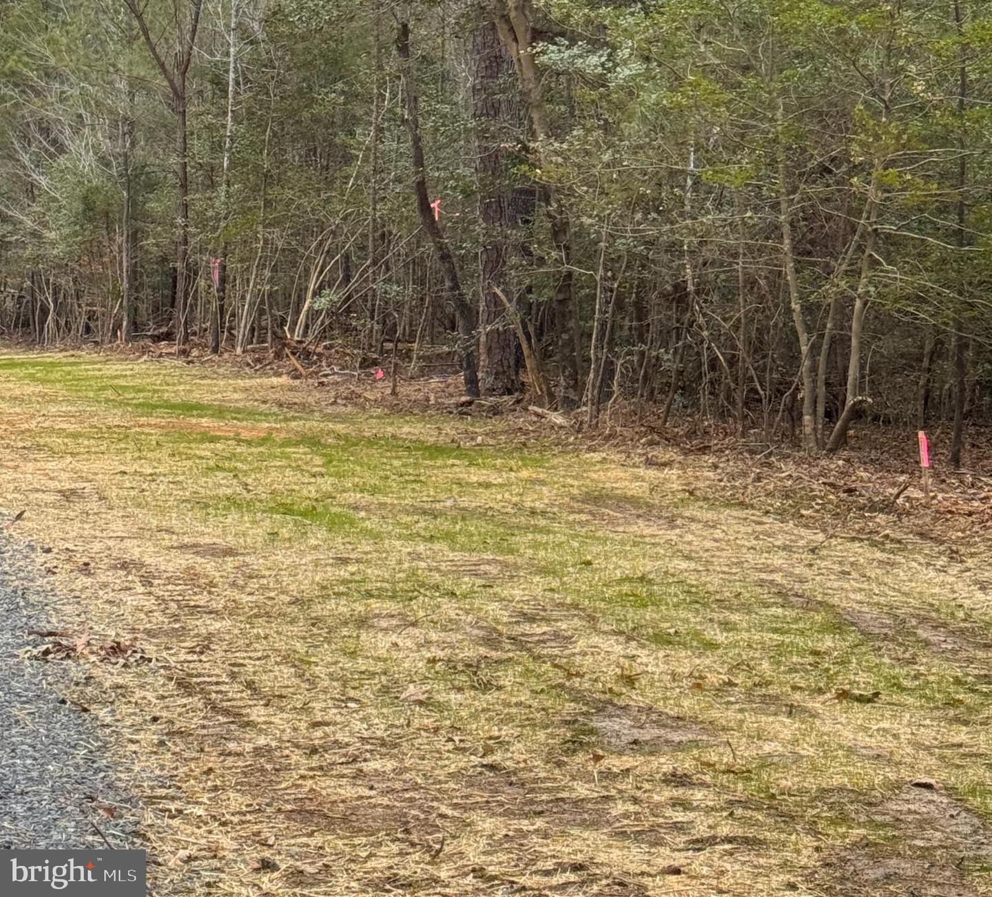 2 SEAGRASS CT, KING GEORGE, Virginia 22485, ,Land,For sale,2 SEAGRASS CT,VAKG2007378 MLS # VAKG2007378