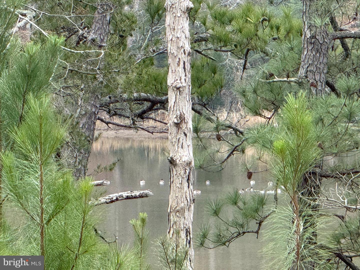 2 SEAGRASS CT, KING GEORGE, Virginia 22485, ,Land,For sale,2 SEAGRASS CT,VAKG2007378 MLS # VAKG2007378