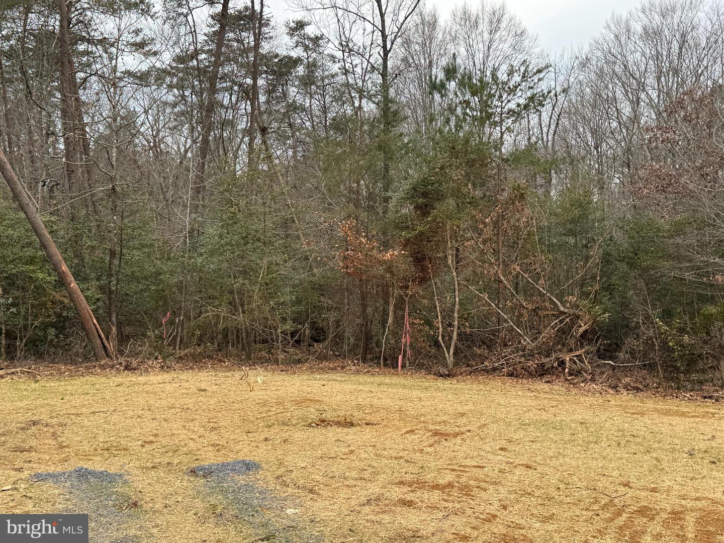 2 SEAGRASS CT, KING GEORGE, Virginia 22485, ,Land,For sale,2 SEAGRASS CT,VAKG2007378 MLS # VAKG2007378