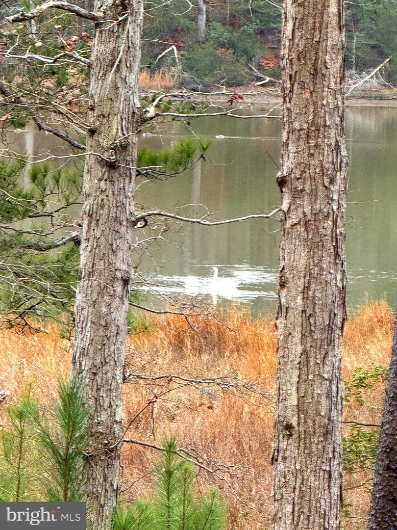 3 SEAGRASS CT, KING GEORGE, Virginia 22485, ,Land,For sale,3 SEAGRASS CT,VAKG2007380 MLS # VAKG2007380