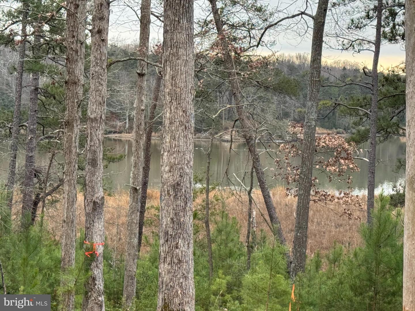 3 SEAGRASS CT, KING GEORGE, Virginia 22485, ,Land,For sale,3 SEAGRASS CT,VAKG2007380 MLS # VAKG2007380