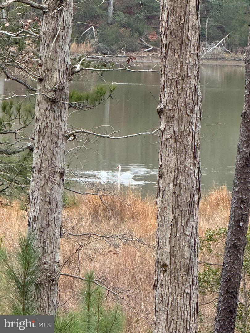 3 SEAGRASS CT, KING GEORGE, Virginia 22485, ,Land,For sale,3 SEAGRASS CT,VAKG2007380 MLS # VAKG2007380