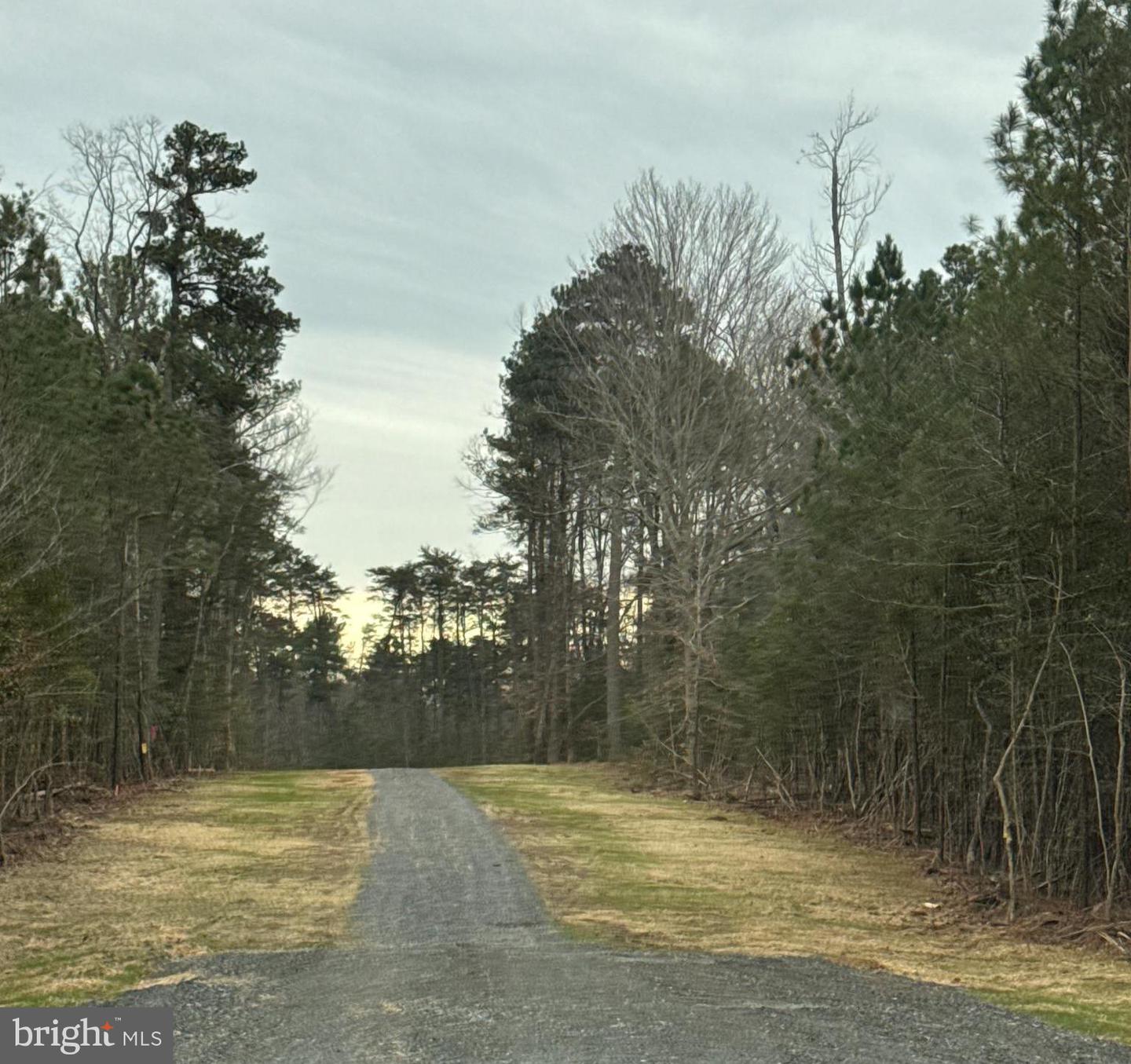 3 SEAGRASS CT, KING GEORGE, Virginia 22485, ,Land,For sale,3 SEAGRASS CT,VAKG2007380 MLS # VAKG2007380