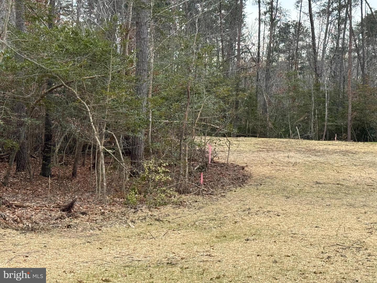 3 SEAGRASS CT, KING GEORGE, Virginia 22485, ,Land,For sale,3 SEAGRASS CT,VAKG2007380 MLS # VAKG2007380 3 SEAGRASS CT, KING GEORGE, Virginia 22485, ,Land,For sale,3 SEAGRASS CT,VAKG2007380 MLS # VAKG2007380