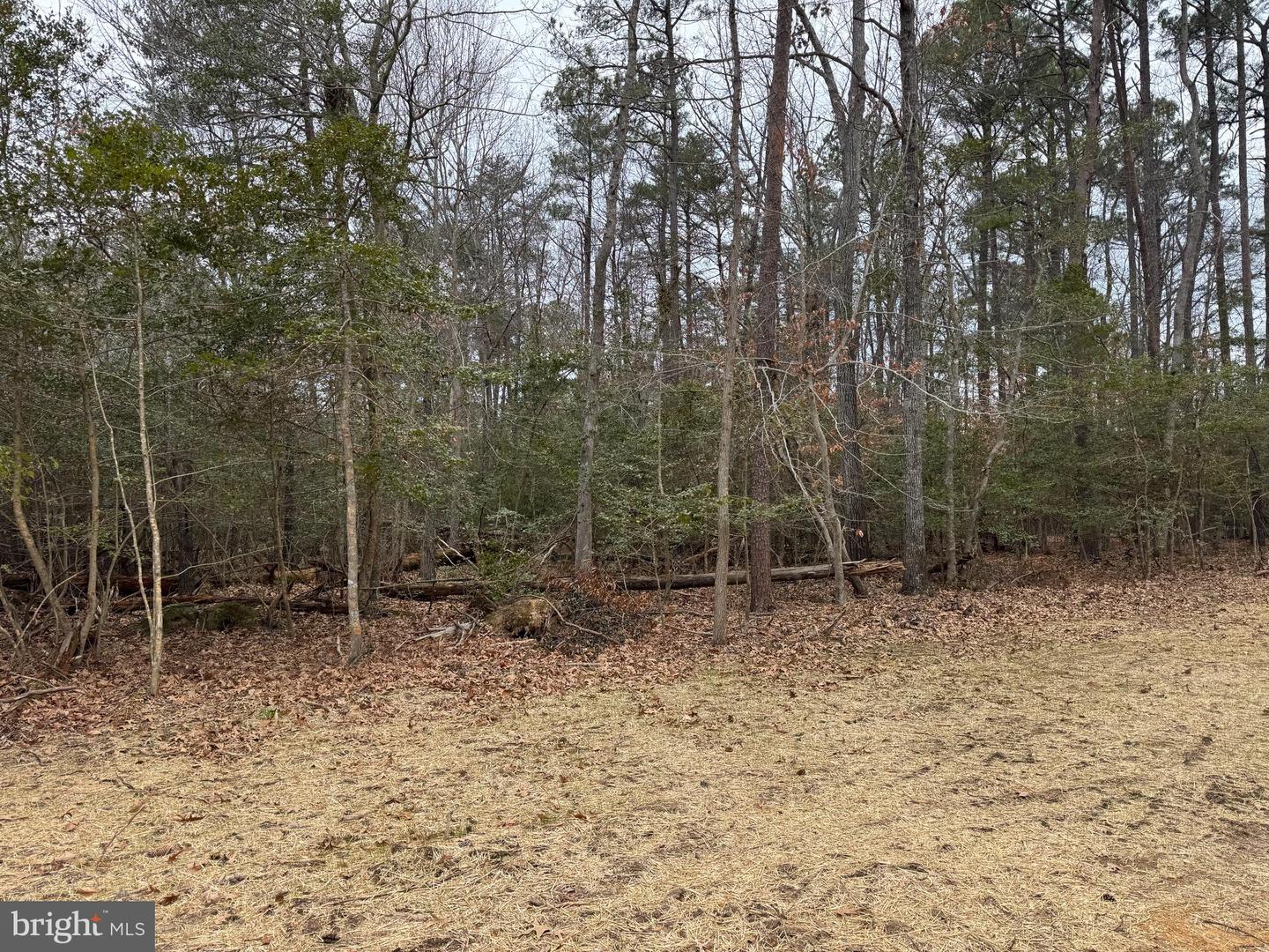 3 SEAGRASS CT, KING GEORGE, Virginia 22485, ,Land,For sale,3 SEAGRASS CT,VAKG2007380 MLS # VAKG2007380