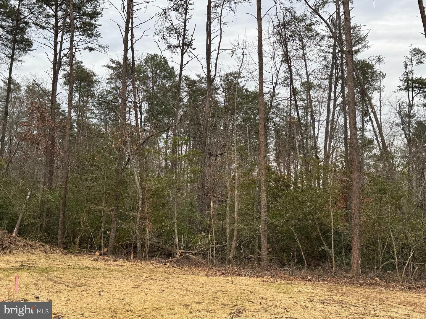 3 SEAGRASS CT, KING GEORGE, Virginia 22485, ,Land,For sale,3 SEAGRASS CT,VAKG2007380 MLS # VAKG2007380