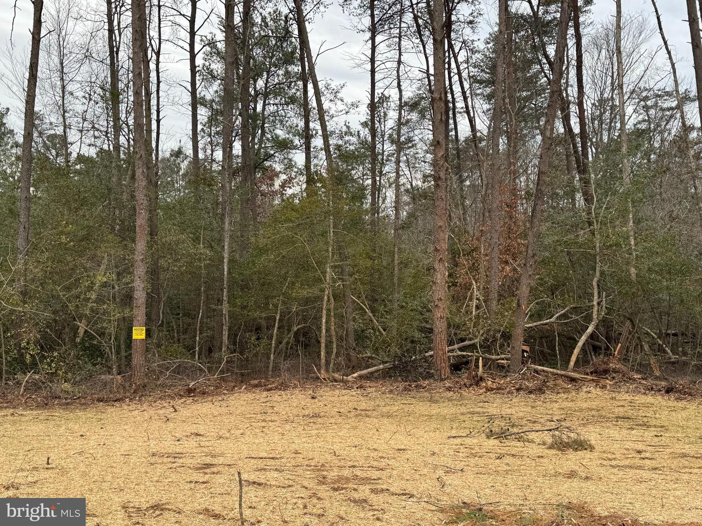 3 SEAGRASS CT, KING GEORGE, Virginia 22485, ,Land,For sale,3 SEAGRASS CT,VAKG2007380 MLS # VAKG2007380