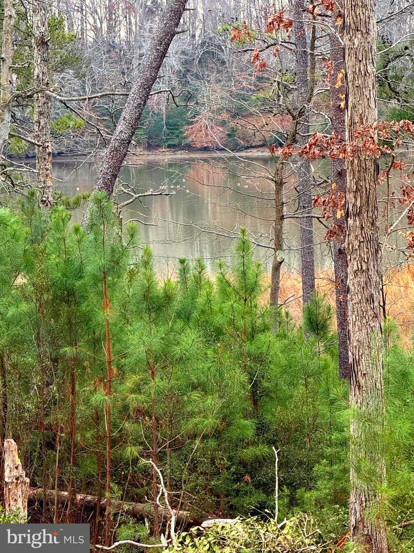 4 SEAGRASS CT, KING GEORGE, Virginia 22485, ,Land,For sale,4 SEAGRASS CT,VAKG2007382 MLS # VAKG2007382