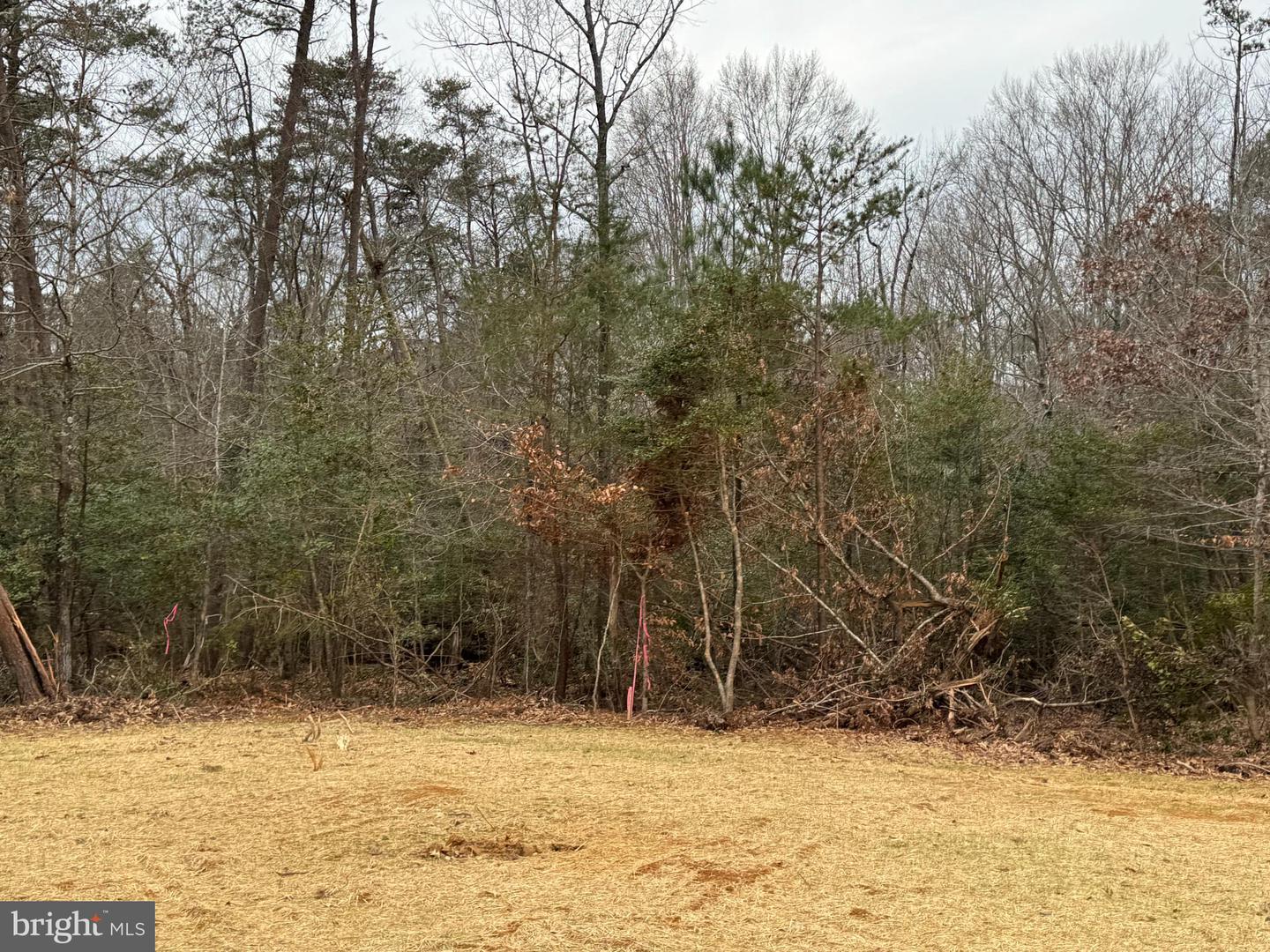 4 SEAGRASS CT, KING GEORGE, Virginia 22485, ,Land,For sale,4 SEAGRASS CT,VAKG2007382 MLS # VAKG2007382