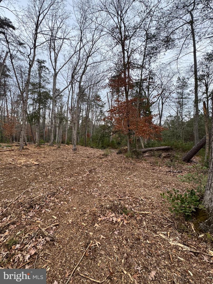 4 SEAGRASS CT, KING GEORGE, Virginia 22485, ,Land,For sale,4 SEAGRASS CT,VAKG2007382 MLS # VAKG2007382