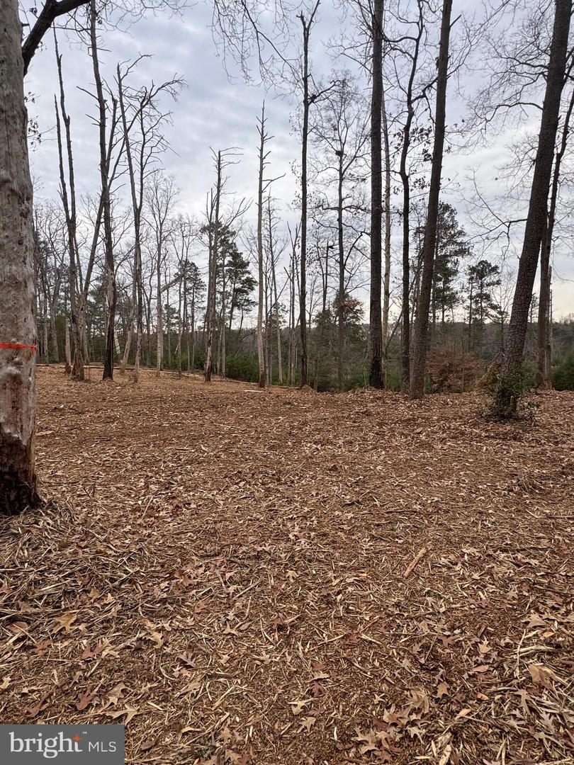 4 SEAGRASS CT, KING GEORGE, Virginia 22485, ,Land,For sale,4 SEAGRASS CT,VAKG2007382 MLS # VAKG2007382