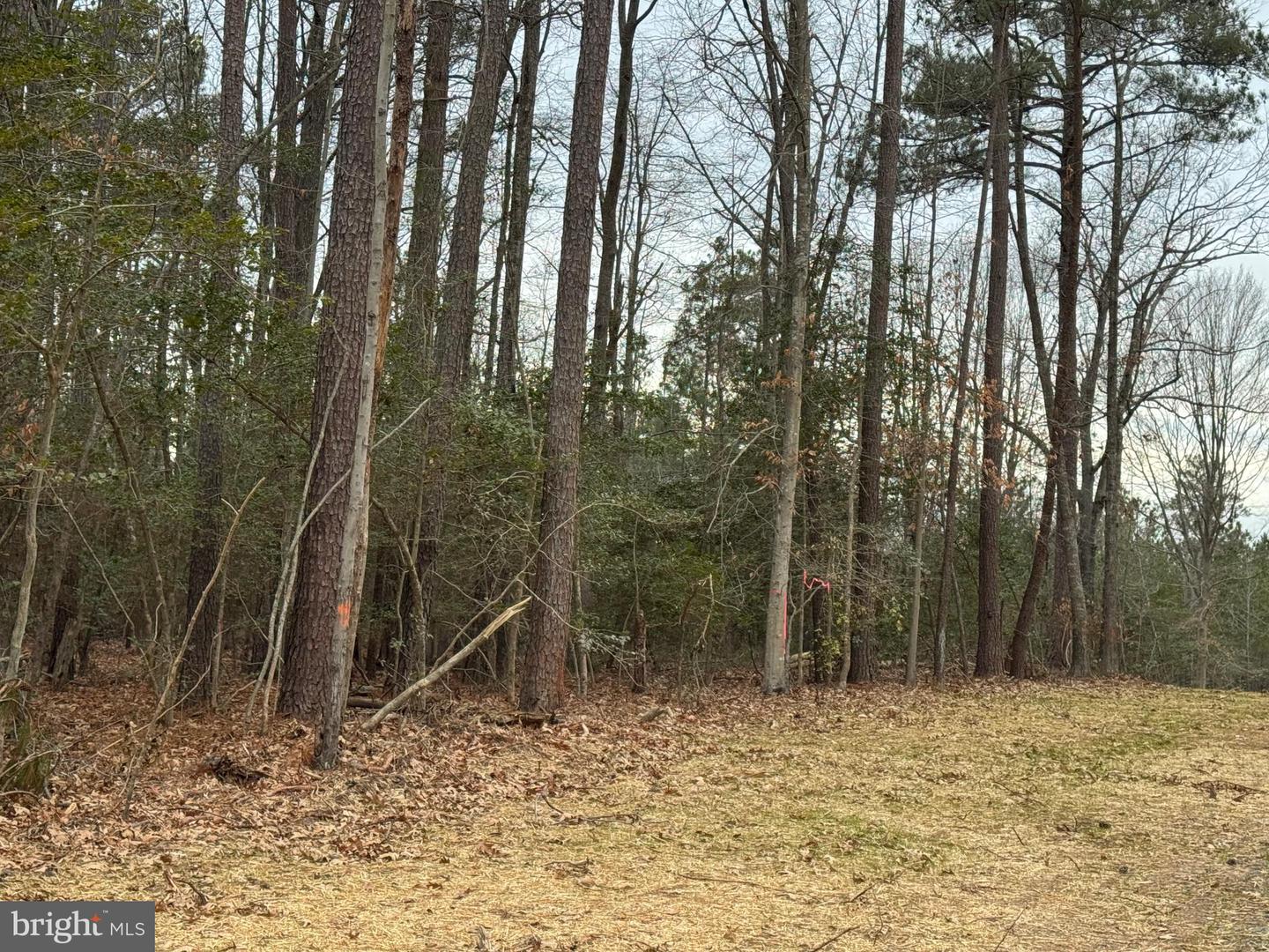 4 SEAGRASS CT, KING GEORGE, Virginia 22485, ,Land,For sale,4 SEAGRASS CT,VAKG2007382 MLS # VAKG2007382