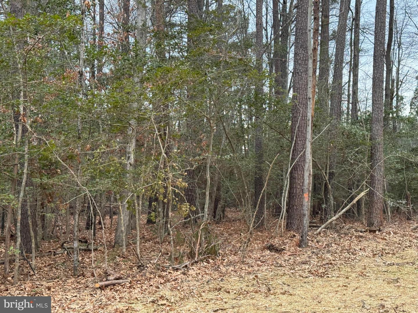 4 SEAGRASS CT, KING GEORGE, Virginia 22485, ,Land,For sale,4 SEAGRASS CT,VAKG2007382 MLS # VAKG2007382