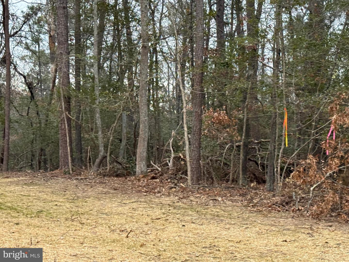 4 SEAGRASS CT, KING GEORGE, Virginia 22485, ,Land,For sale,4 SEAGRASS CT,VAKG2007382 MLS # VAKG2007382