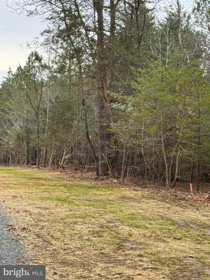 4 SEAGRASS CT, KING GEORGE, Virginia 22485, ,Land,For sale,4 SEAGRASS CT,VAKG2007382 MLS # VAKG2007382