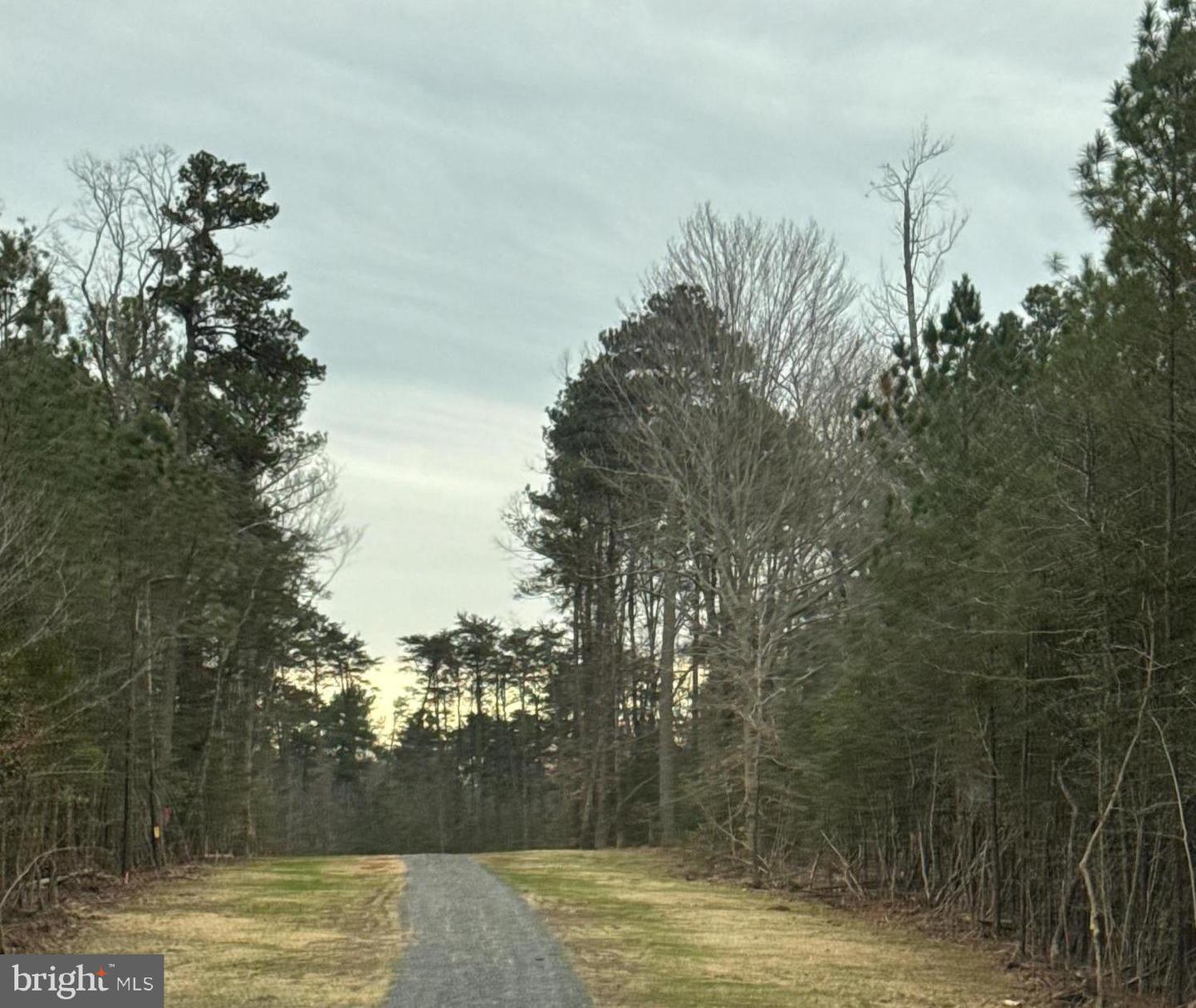 4 SEAGRASS CT, KING GEORGE, Virginia 22485, ,Land,For sale,4 SEAGRASS CT,VAKG2007382 MLS # VAKG2007382