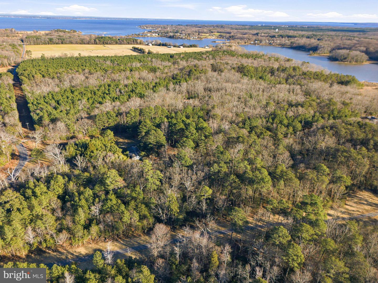 5 SEAGRASS CT, KING GEORGE, Virginia 22485, ,Land,For sale,5 SEAGRASS CT,VAKG2007384 MLS # VAKG2007384 5 SEAGRASS CT, KING GEORGE, Virginia 22485, ,Land,For sale,5 SEAGRASS CT,VAKG2007384 MLS # VAKG2007384