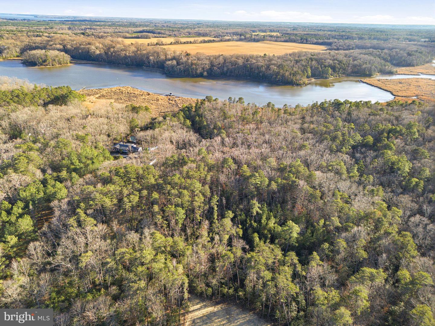 5 SEAGRASS CT, KING GEORGE, Virginia 22485, ,Land,For sale,5 SEAGRASS CT,VAKG2007384 MLS # VAKG2007384 5 SEAGRASS CT, KING GEORGE, Virginia 22485, ,Land,For sale,5 SEAGRASS CT,VAKG2007384 MLS # VAKG2007384