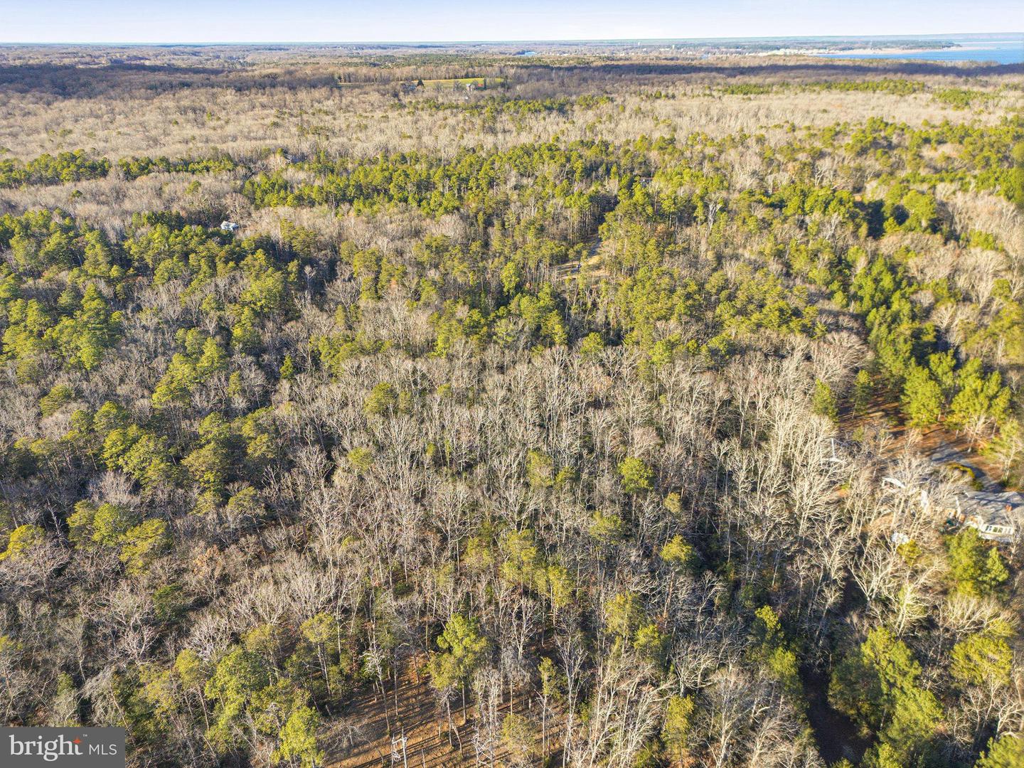 5 SEAGRASS CT, KING GEORGE, Virginia 22485, ,Land,For sale,5 SEAGRASS CT,VAKG2007384 MLS # VAKG2007384 5 SEAGRASS CT, KING GEORGE, Virginia 22485, ,Land,For sale,5 SEAGRASS CT,VAKG2007384 MLS # VAKG2007384