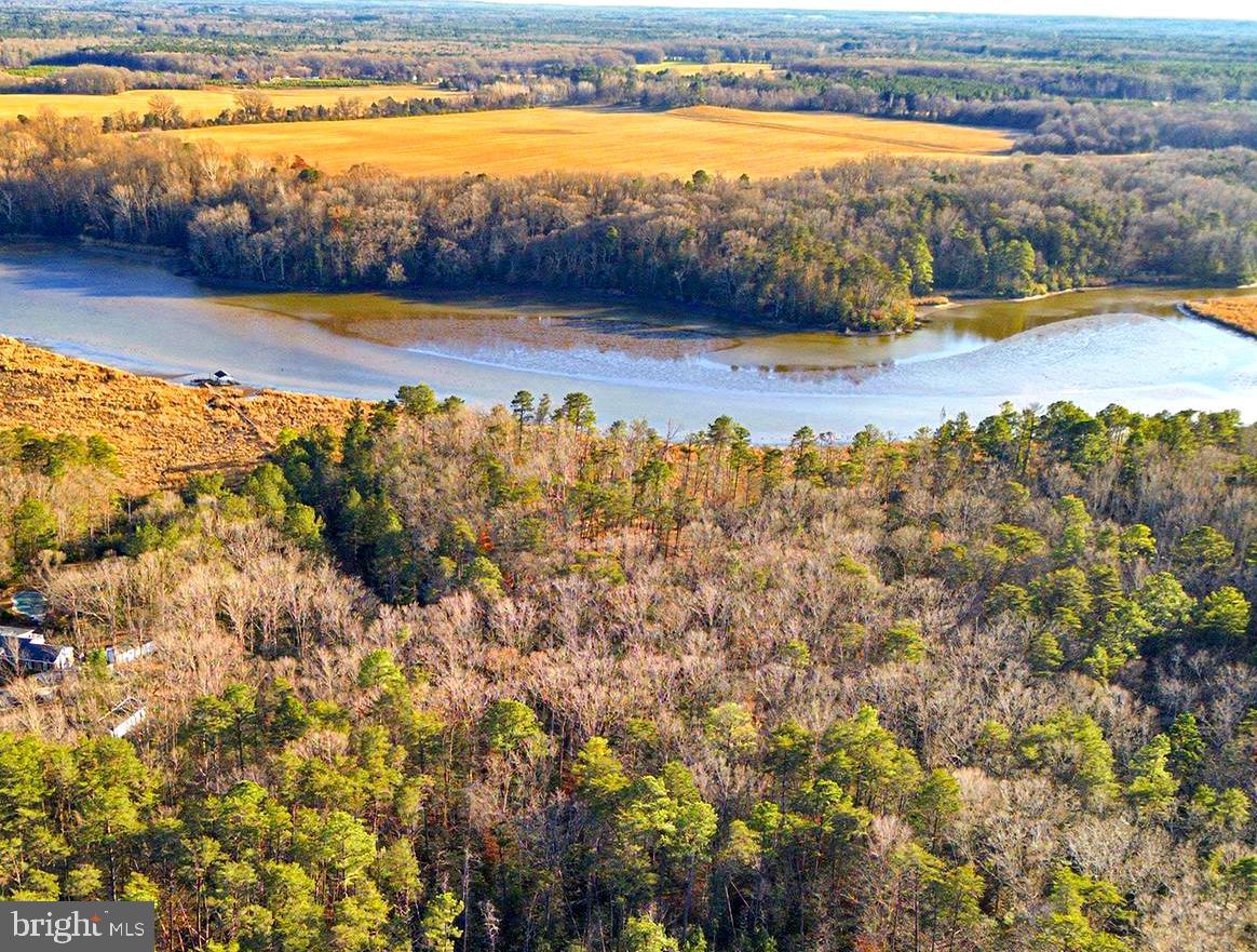 5 SEAGRASS CT, KING GEORGE, Virginia 22485, ,Land,For sale,5 SEAGRASS CT,VAKG2007384 MLS # VAKG2007384