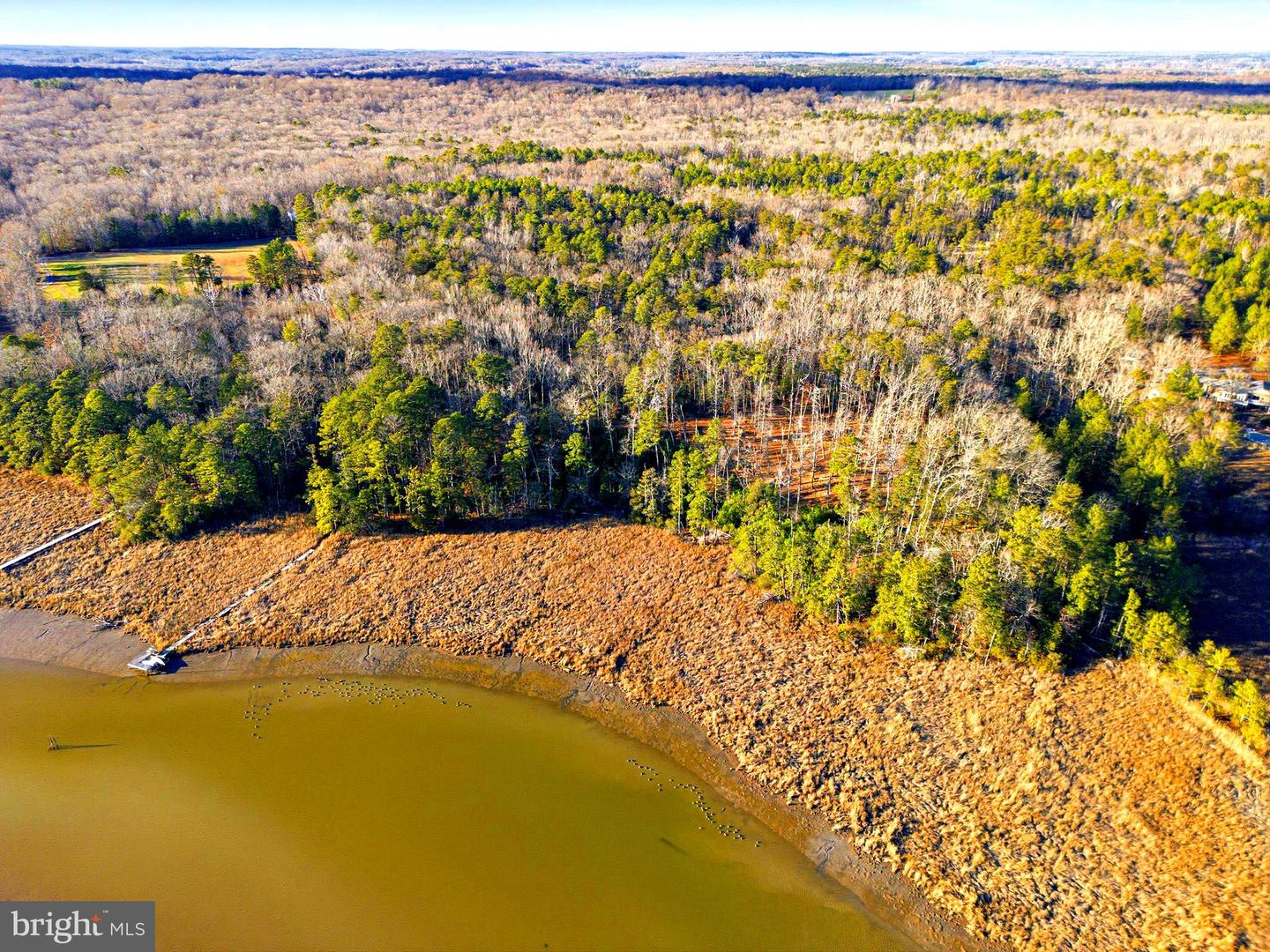 5 SEAGRASS CT, KING GEORGE, Virginia 22485, ,Land,For sale,5 SEAGRASS CT,VAKG2007384 MLS # VAKG2007384