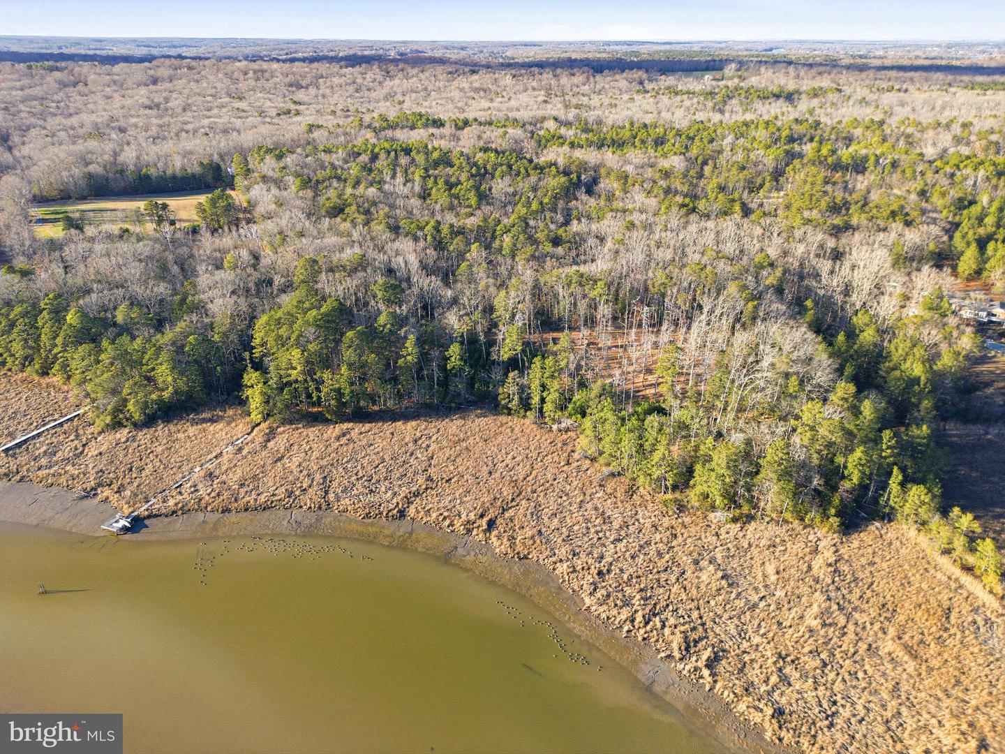 6 SEAGRASS CT, KING GEORGE, Virginia 22485, ,Land,For sale,6 SEAGRASS CT,VAKG2007386 MLS # VAKG2007386