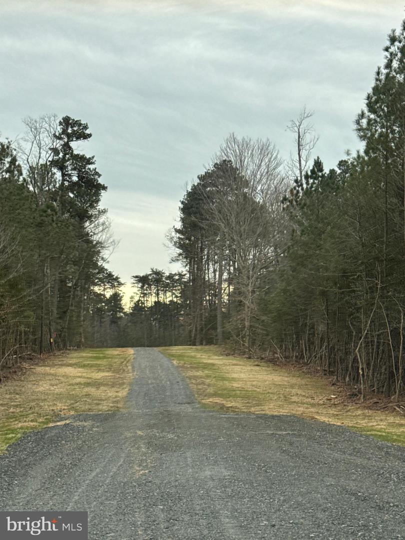 6 SEAGRASS CT, KING GEORGE, Virginia 22485, ,Land,For sale,6 SEAGRASS CT,VAKG2007386 MLS # VAKG2007386