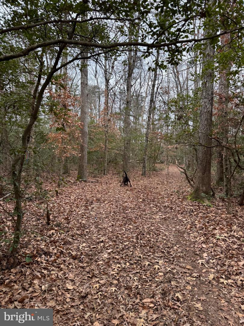 6 SEAGRASS CT, KING GEORGE, Virginia 22485, ,Land,For sale,6 SEAGRASS CT,VAKG2007386 MLS # VAKG2007386