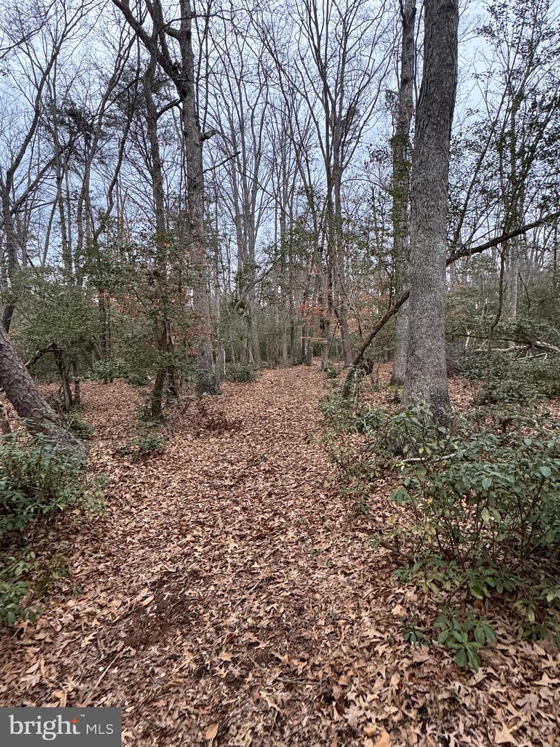 6 SEAGRASS CT, KING GEORGE, Virginia 22485, ,Land,For sale,6 SEAGRASS CT,VAKG2007386 MLS # VAKG2007386