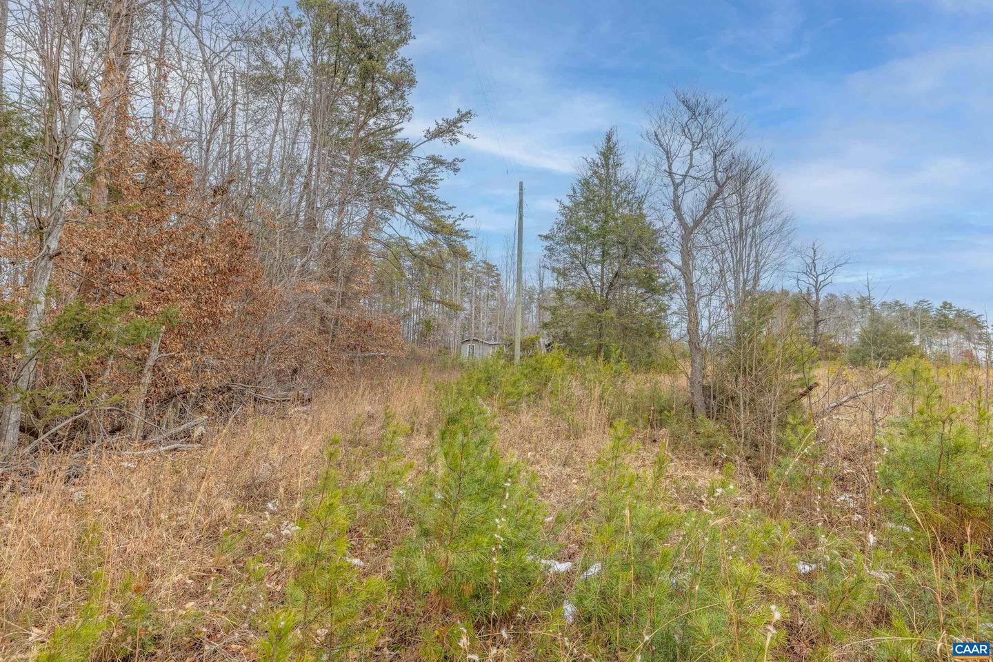 155 HARRIS LN, PALMYRA, Virginia 22963, ,Land,For sale,155 HARRIS LN,671935 MLS # 671935