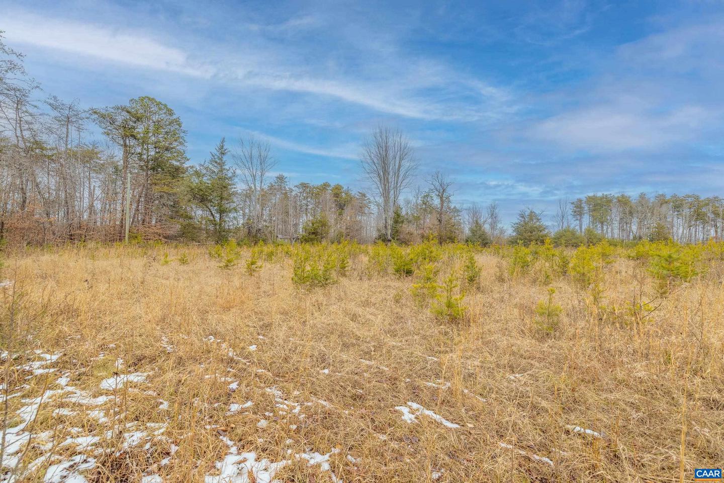 155 HARRIS LN, PALMYRA, Virginia 22963, ,Land,For sale,155 HARRIS LN,671935 MLS # 671935
