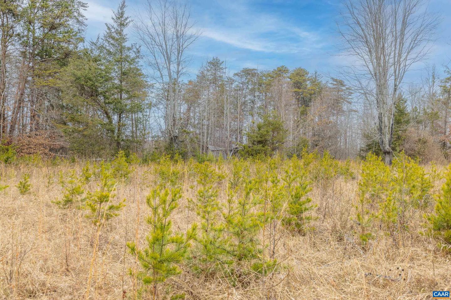 155 HARRIS LN, PALMYRA, Virginia 22963, ,Land,For sale,155 HARRIS LN,671935 MLS # 671935