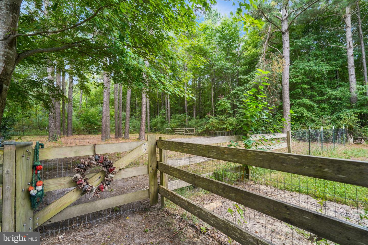 12564 HACKS NECK RD, HACKSNECK, Virginia 23358, 3 Bedrooms Bedrooms, ,2 BathroomsBathrooms,Residential,For sale,12564 HACKS NECK RD,VAAC2002270 MLS # VAAC2002270